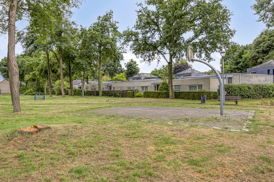 Foto 31 van Bergschot 300