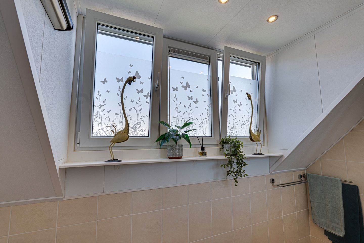 Photo 44 of Roompotstraat 43