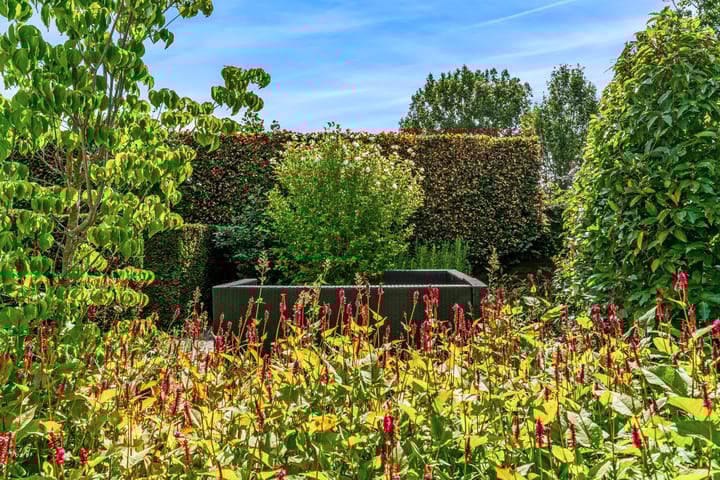 Foto 26 van Banmolen 26