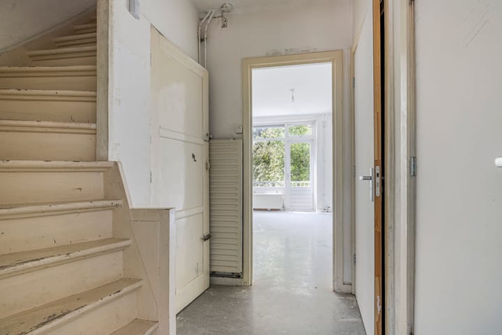 Foto 10 van Mosveld 41-1