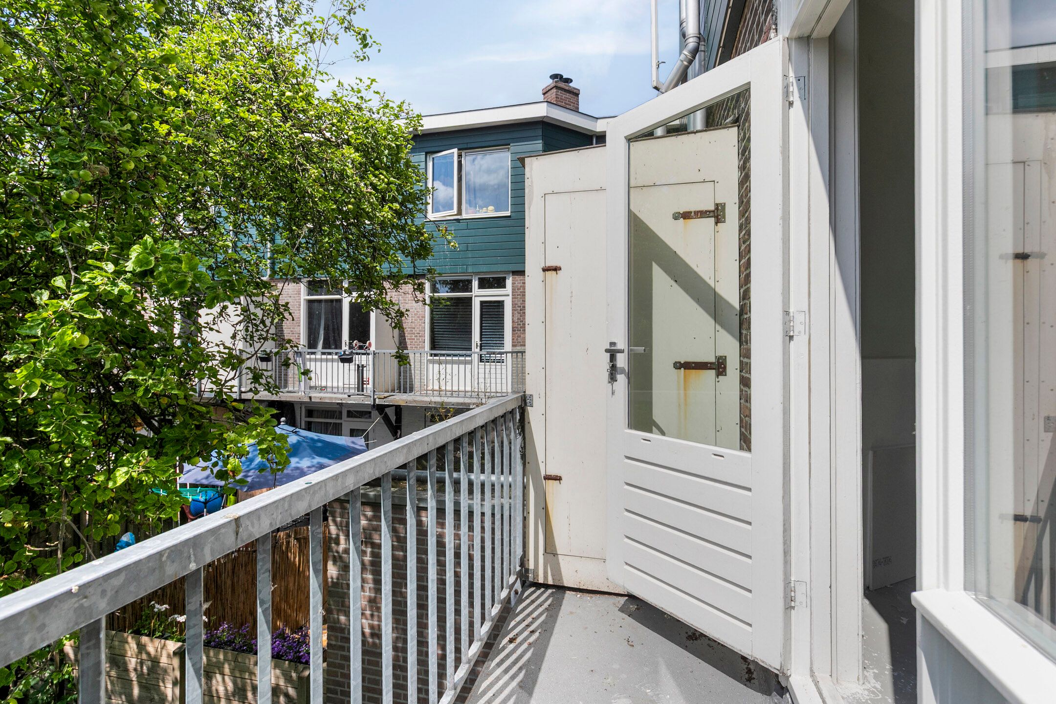 Foto 3 van Mosveld 41-1