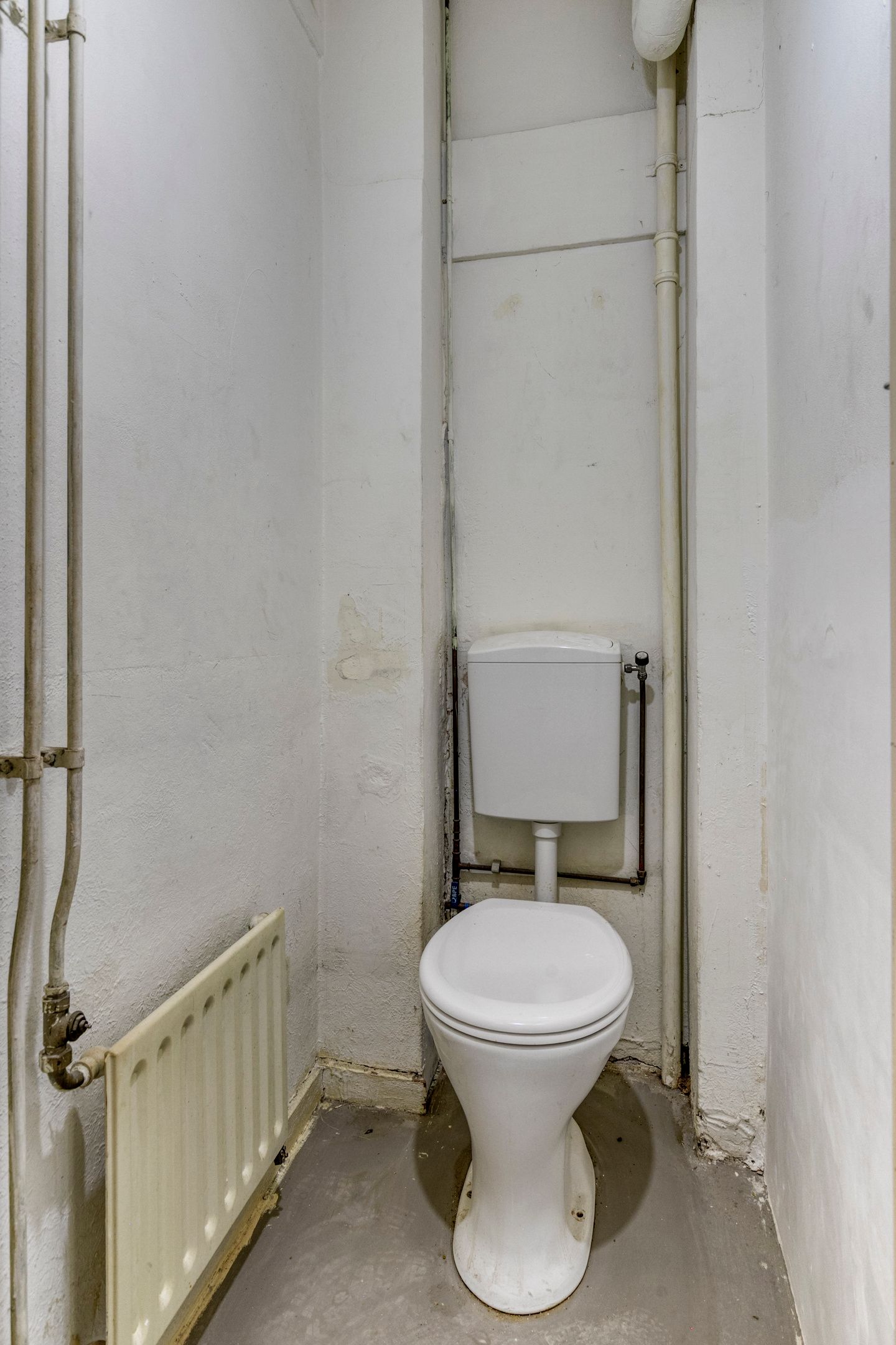 Foto 15 van Mosveld 41-1