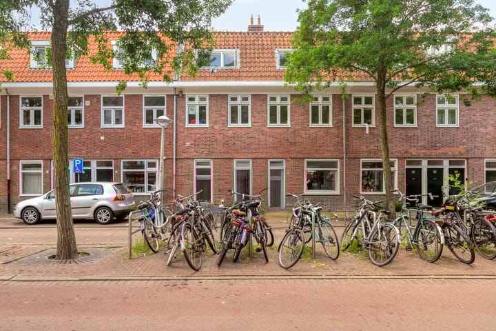 Foto 24 van Mosveld 41-1