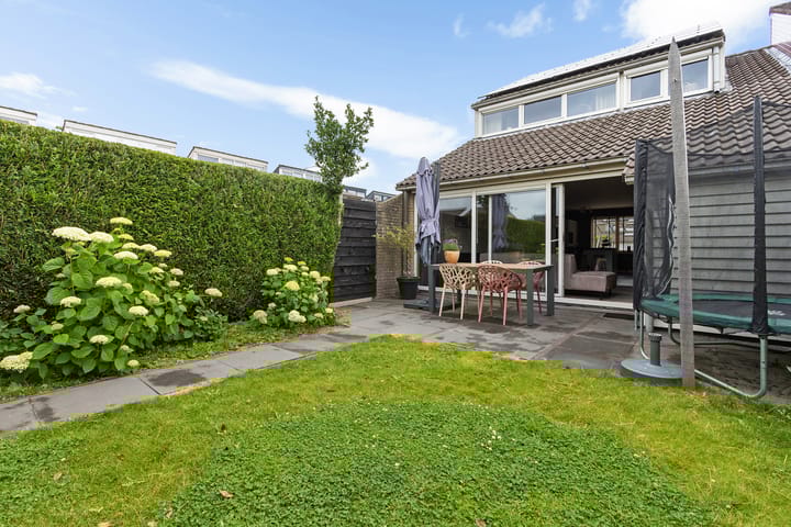 Foto 3 van Zenegroen 2