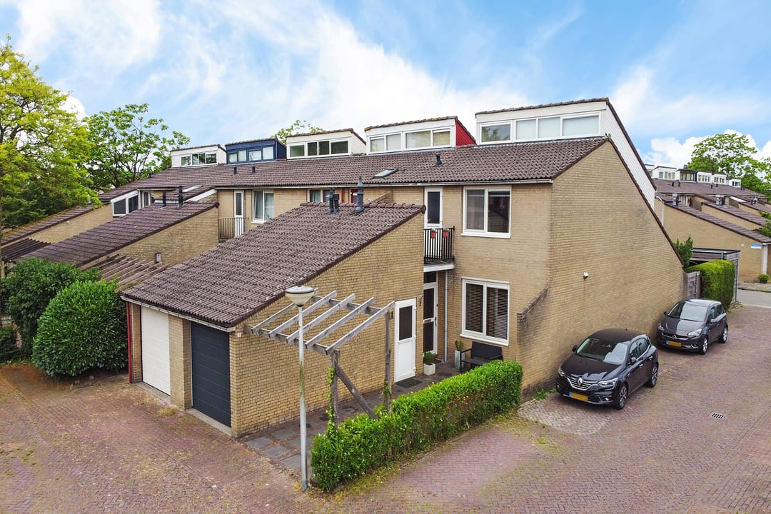 Foto 1 van Zenegroen 2