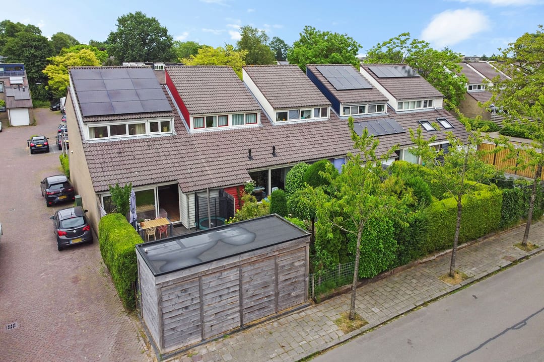 Foto 43 van Zenegroen 2