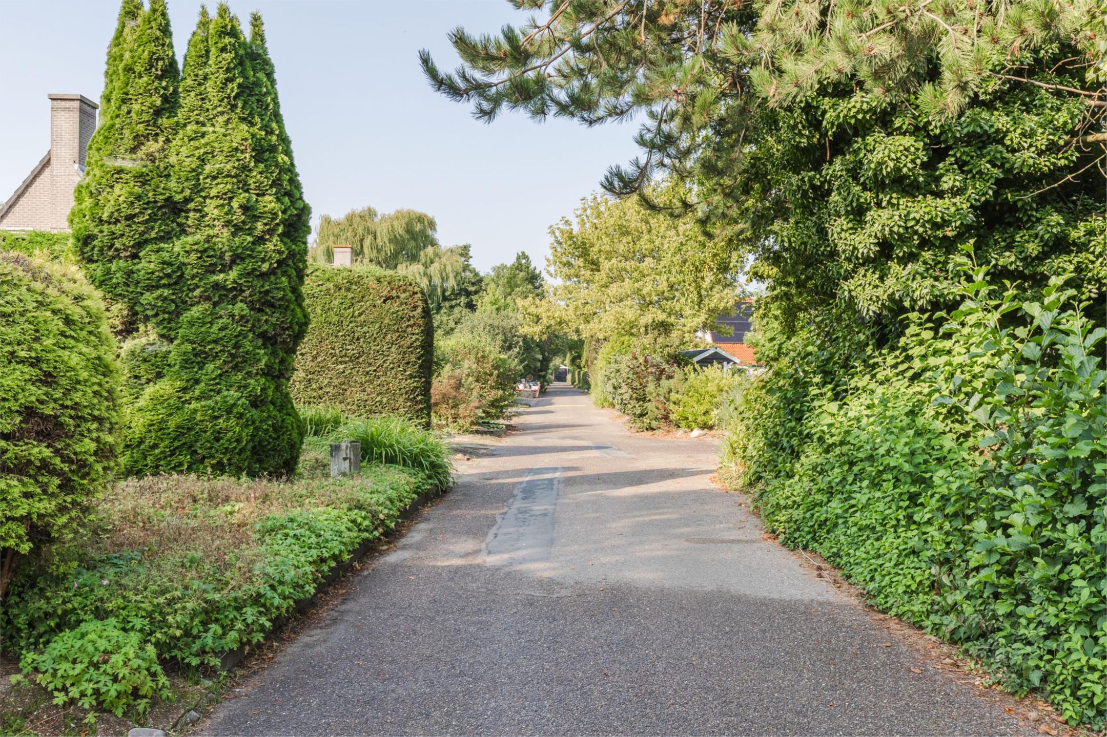 Foto 36 van Droge Wijmersweg 5-275