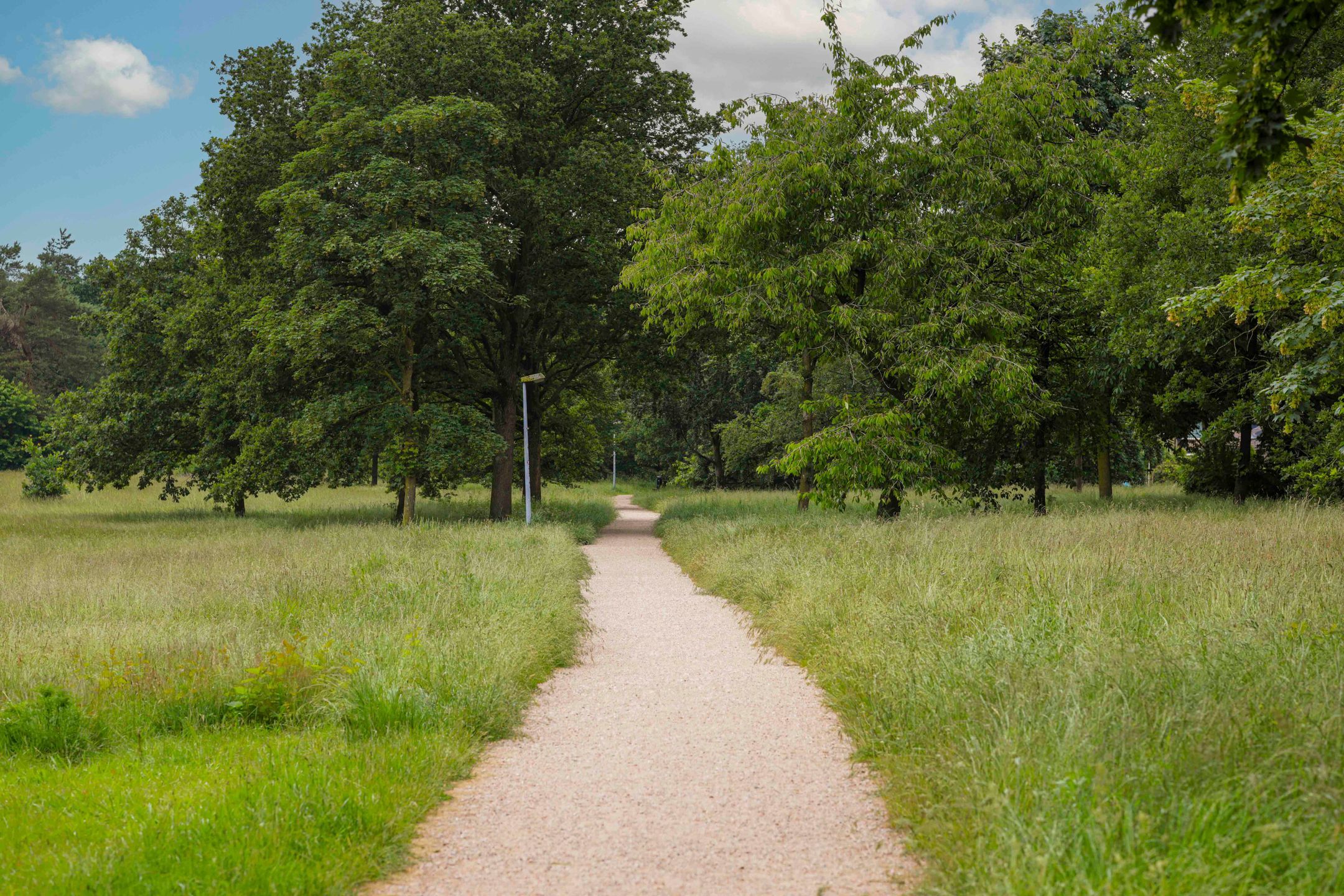 Photo 39 of Marconistraat 12