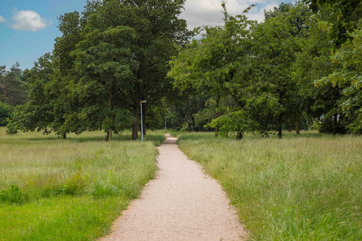 Foto 39 van Marconistraat 12