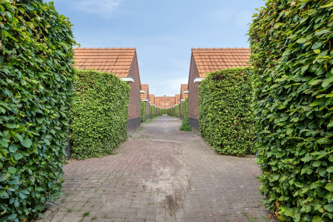 Foto 28 van Cornelis de Vriendtstraat 14