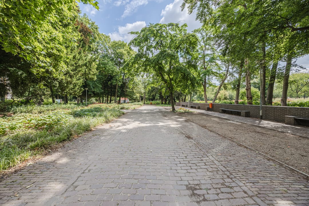 Photo 46 of Boulevard 117