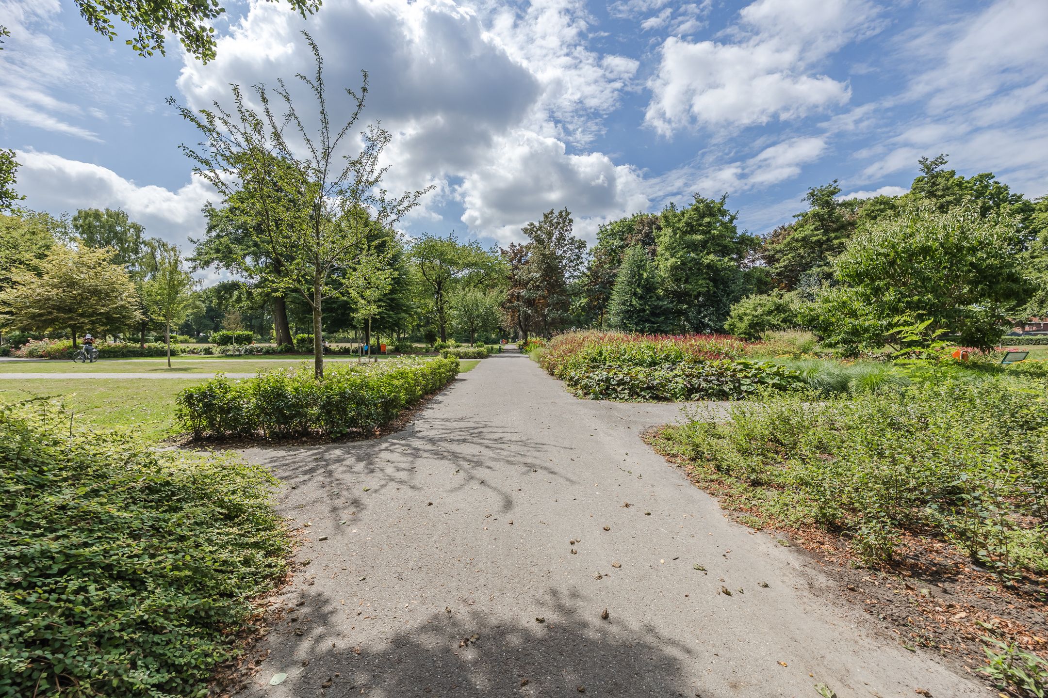 Photo 48 of Boulevard 117