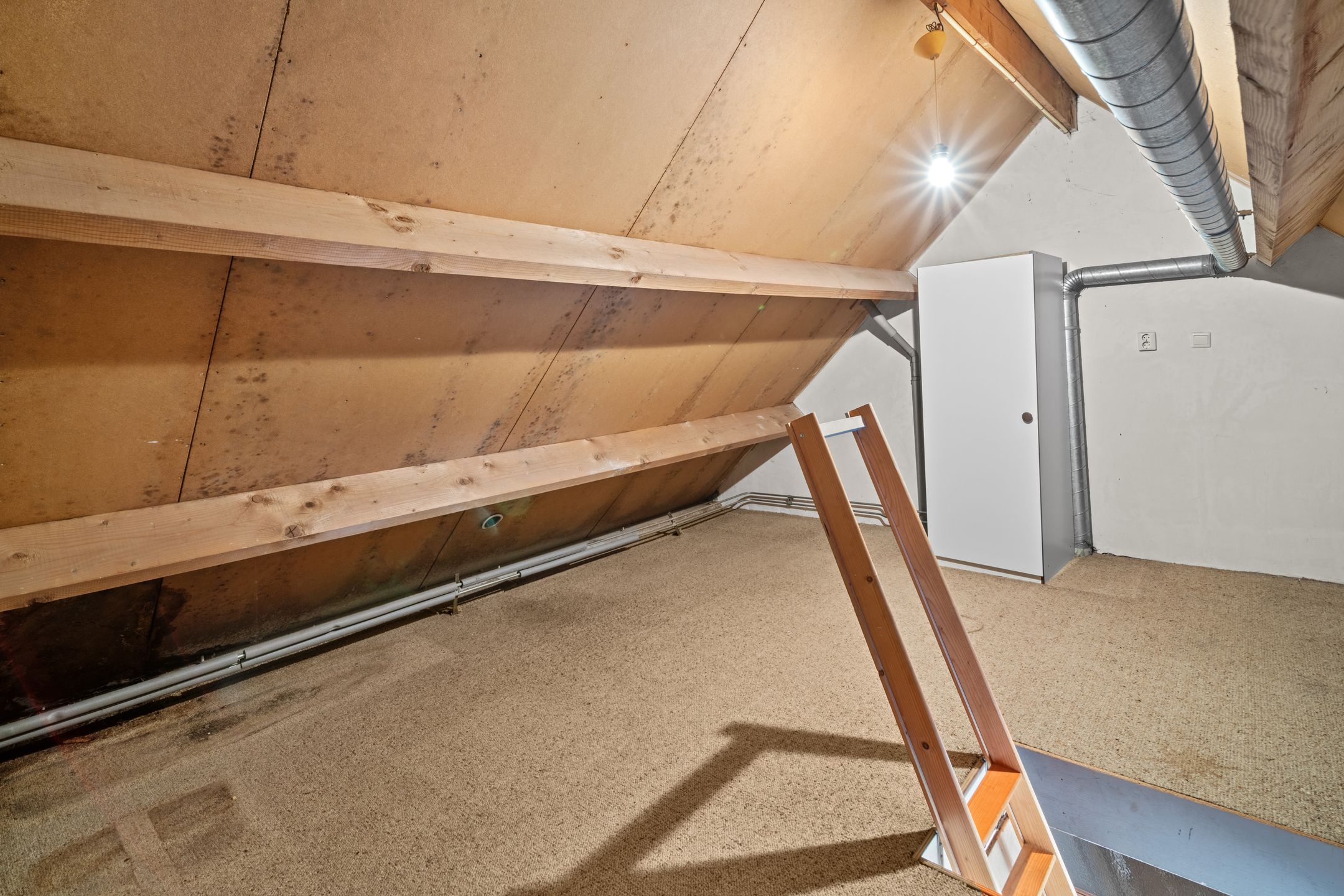 Photo 33 of Balsemienberg 15