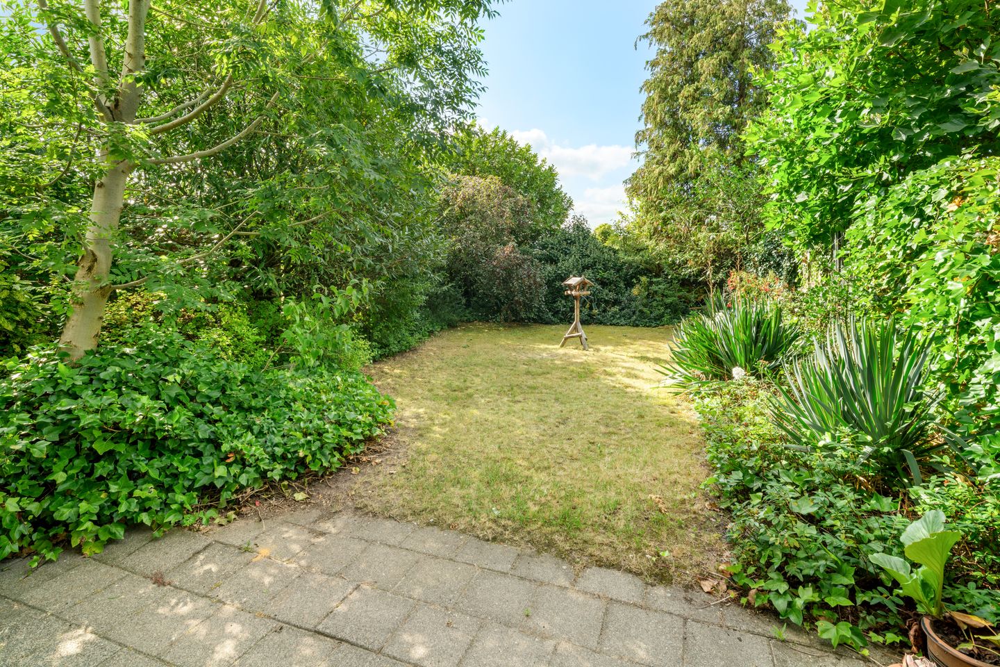 Photo 34 of Balsemienberg 15