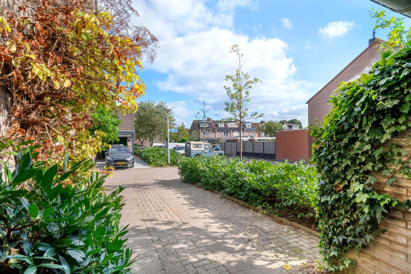 Photo 49 of Balsemienberg 15