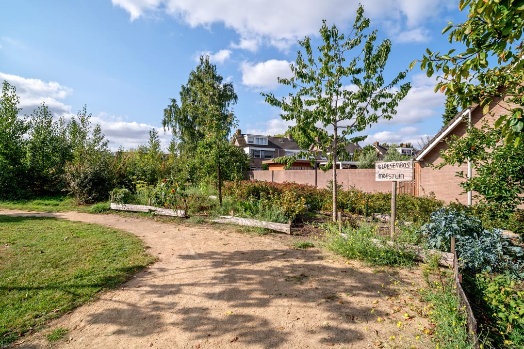 Photo 58 of Balsemienberg 15