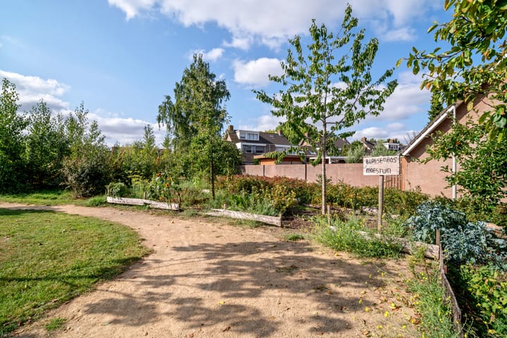 Foto 58 van Balsemienberg 15