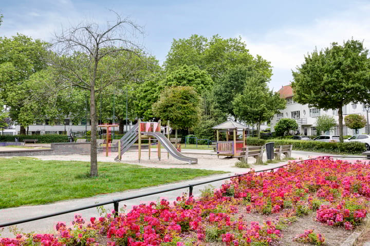 Foto 48 van Petrus Dondersstraat 85