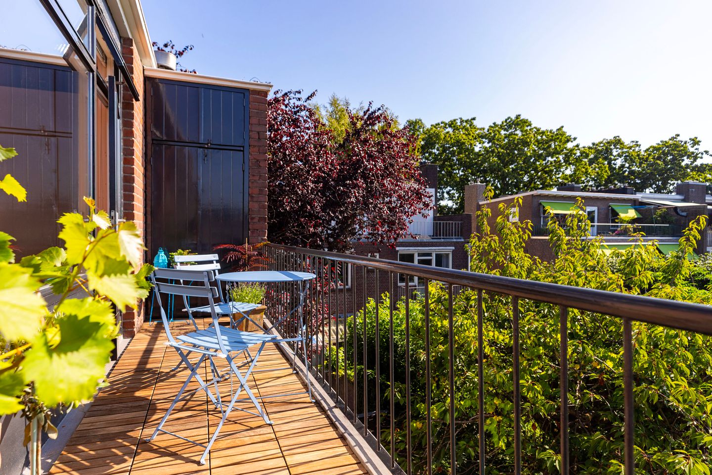 Foto 29 van Hugo de Grootstraat 116