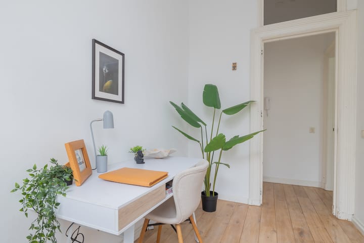 Photo 24 of Ruyschstraat 4-2