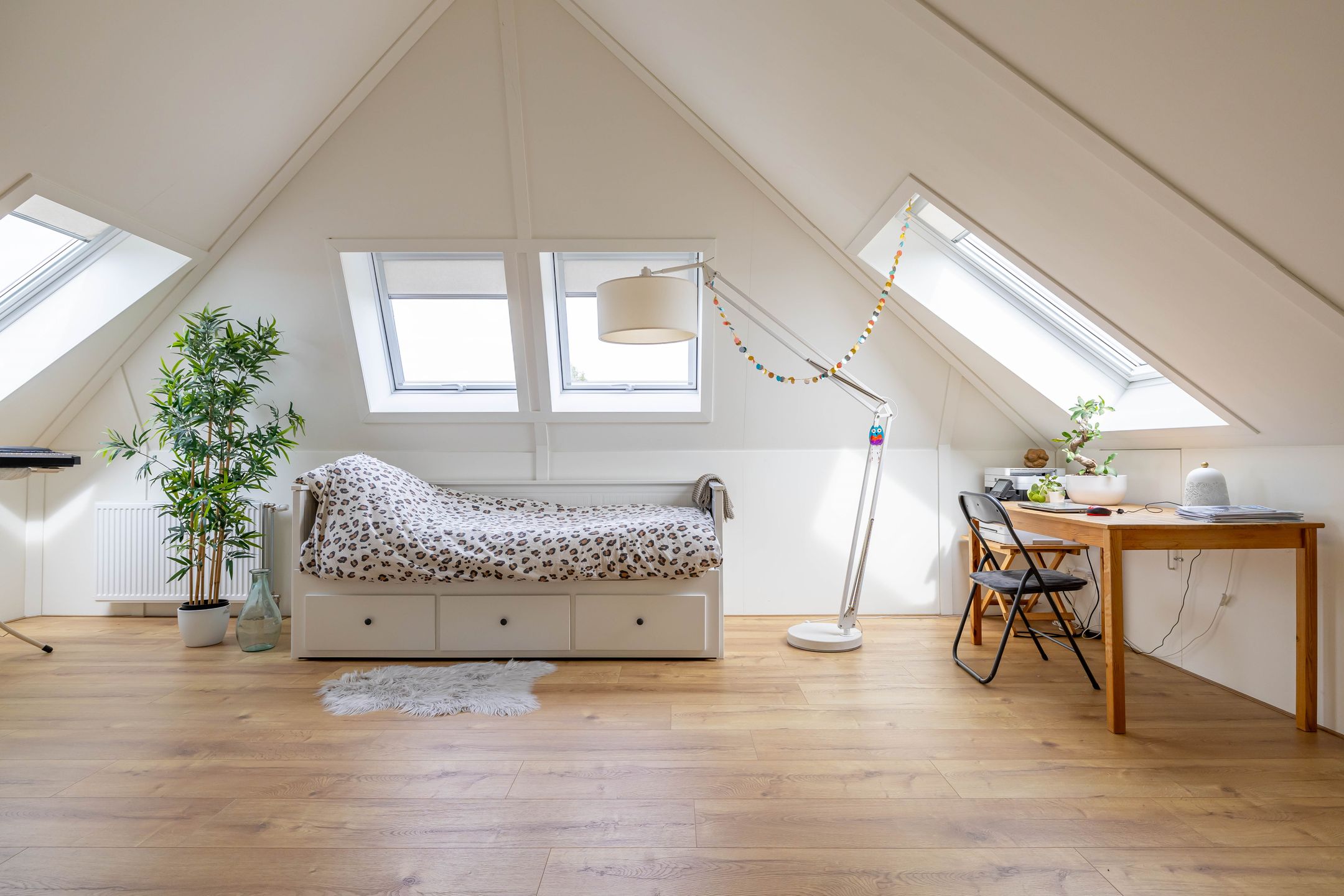 Foto 3 van Honderdspint 23