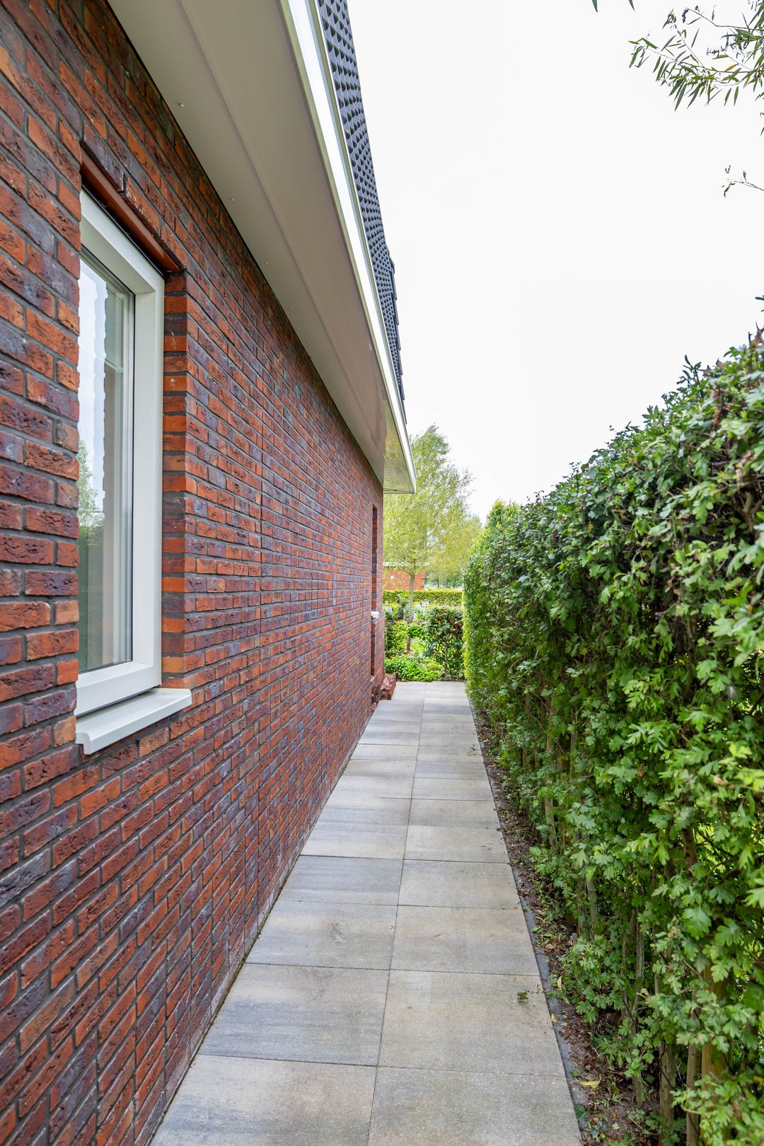 Foto 7 van Honderdspint 23