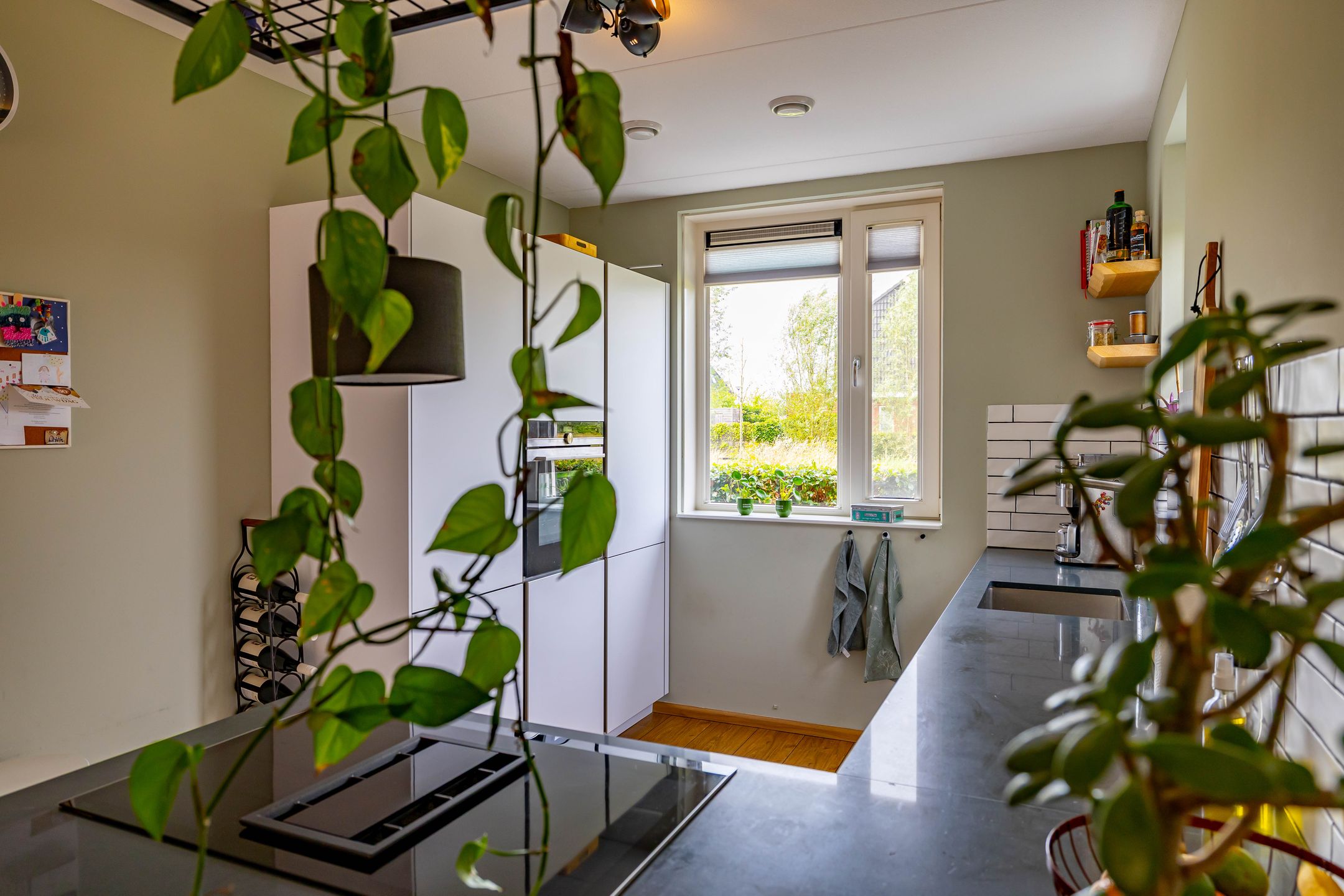 Foto 15 van Honderdspint 23