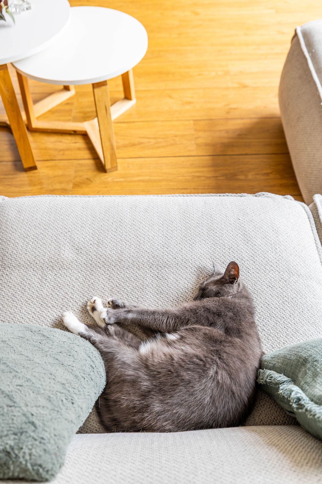 Foto 22 van Honderdspint 23