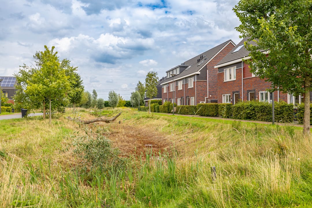 Foto 47 van Honderdspint 23