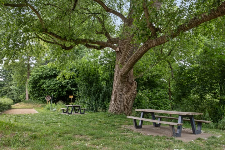 Foto 42 van Orthenseweg 93