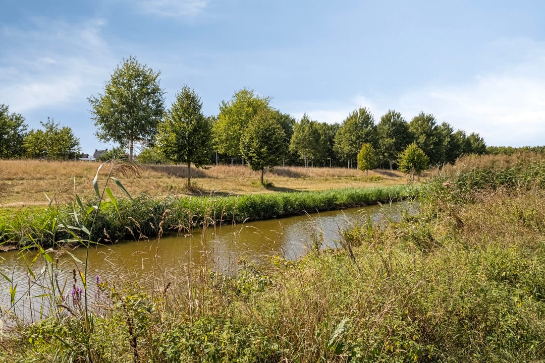 Foto 41 van Schalkhaarstraat 39