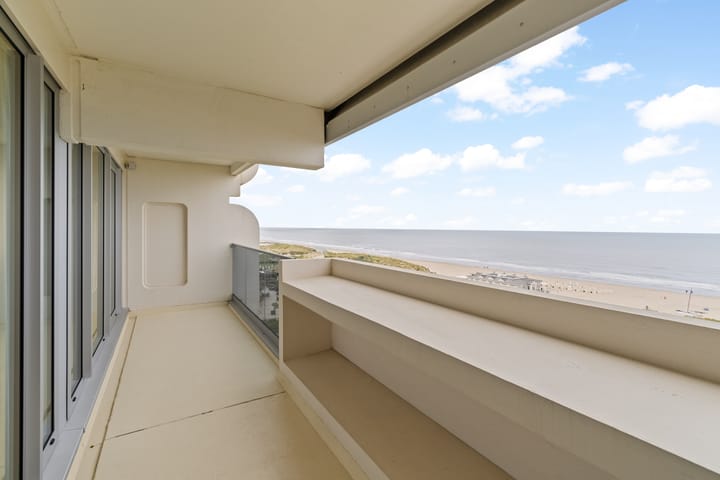 Photo 6 of Duinroos 49