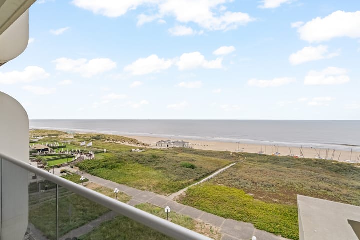 Photo 7 of Duinroos 49