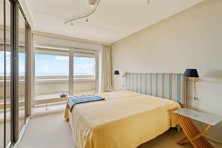 Photo 11 of Duinroos 49