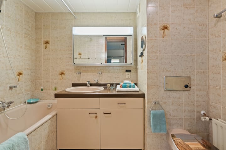 Photo 13 of Duinroos 49