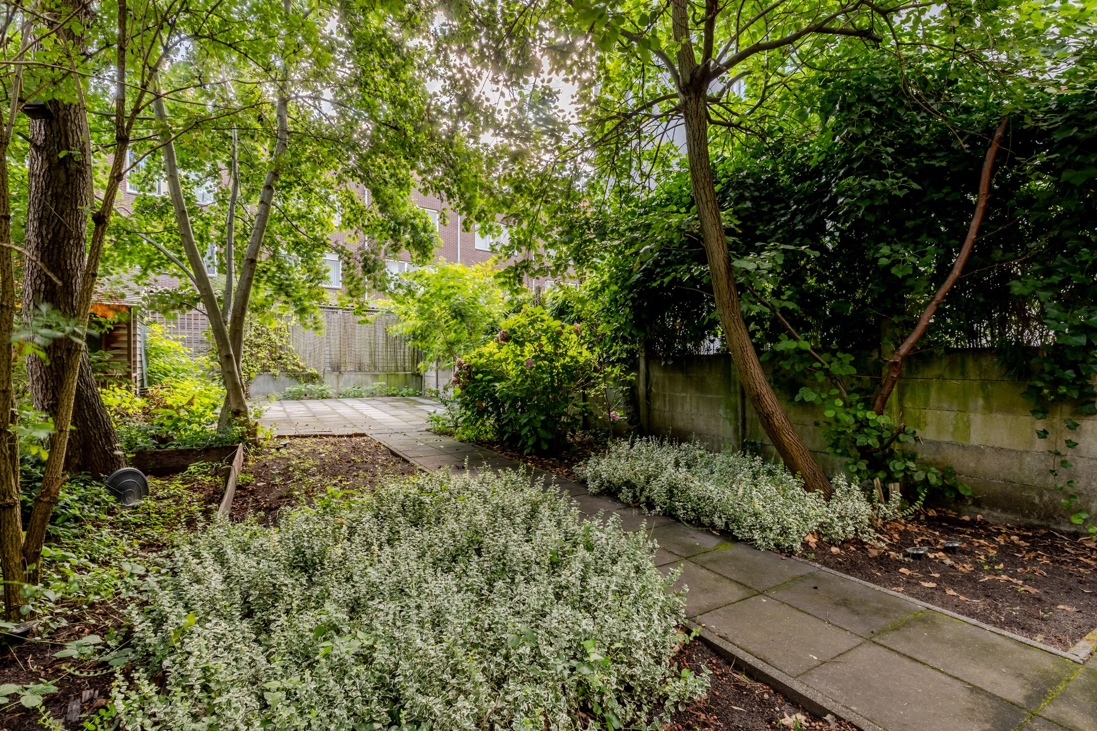 Foto 18 van Henegouwerlaan 68-B