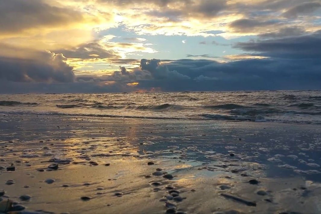 Foto 33 van Burgemeester van Fenemaplein 2-A1502