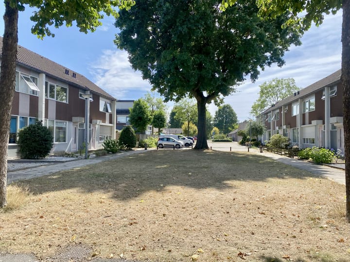 Foto 2 van Heilige Stoel 4604