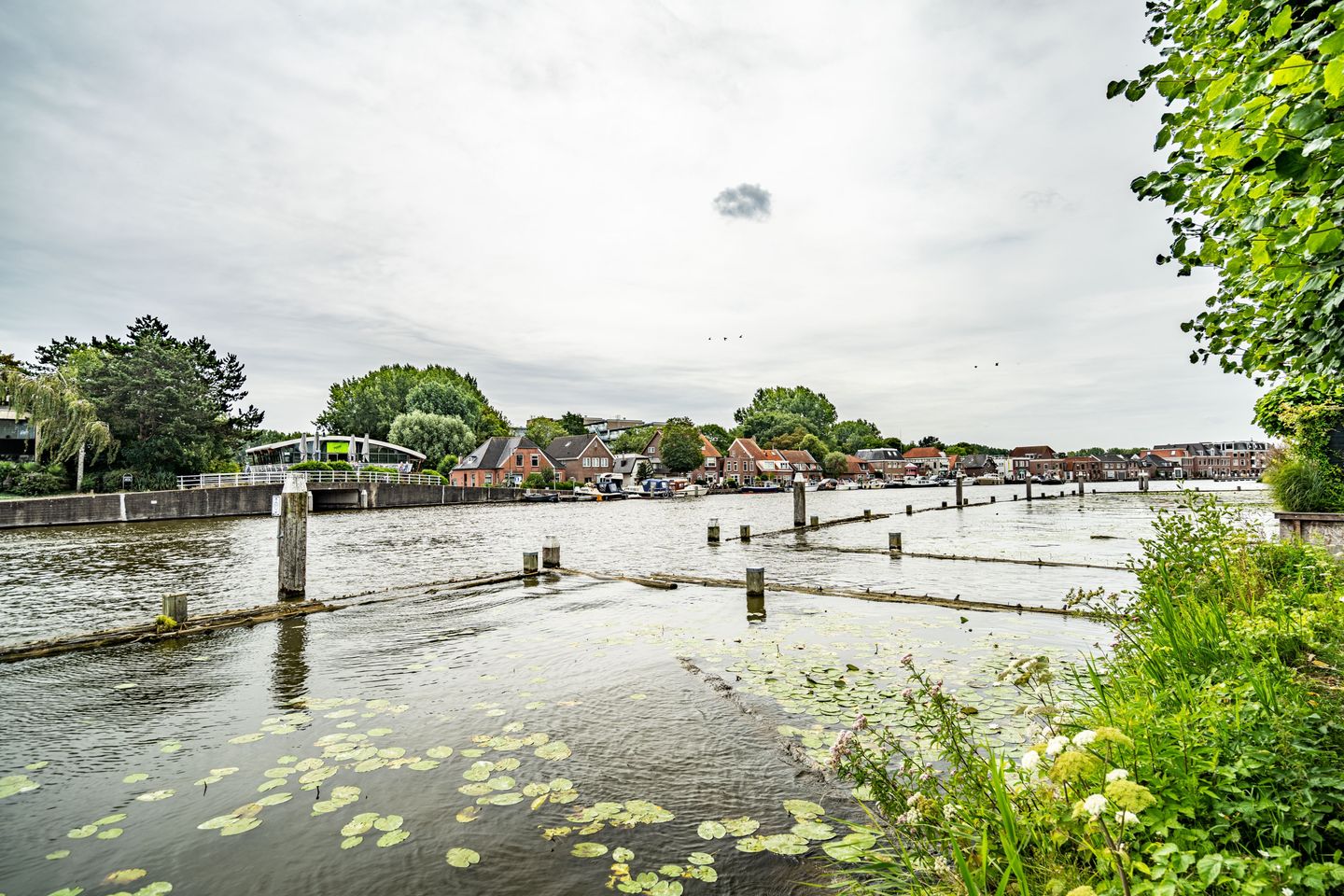 Foto 65 van Schoorlaan 82