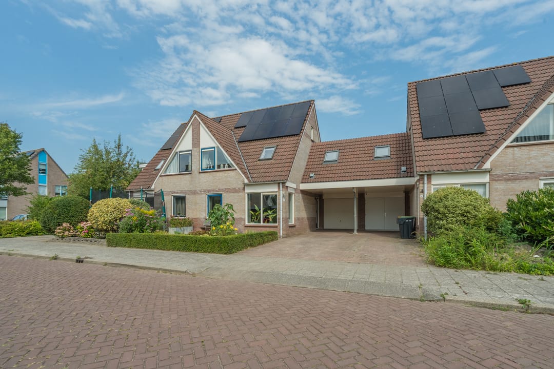 Foto 2 van Lisdodde 6