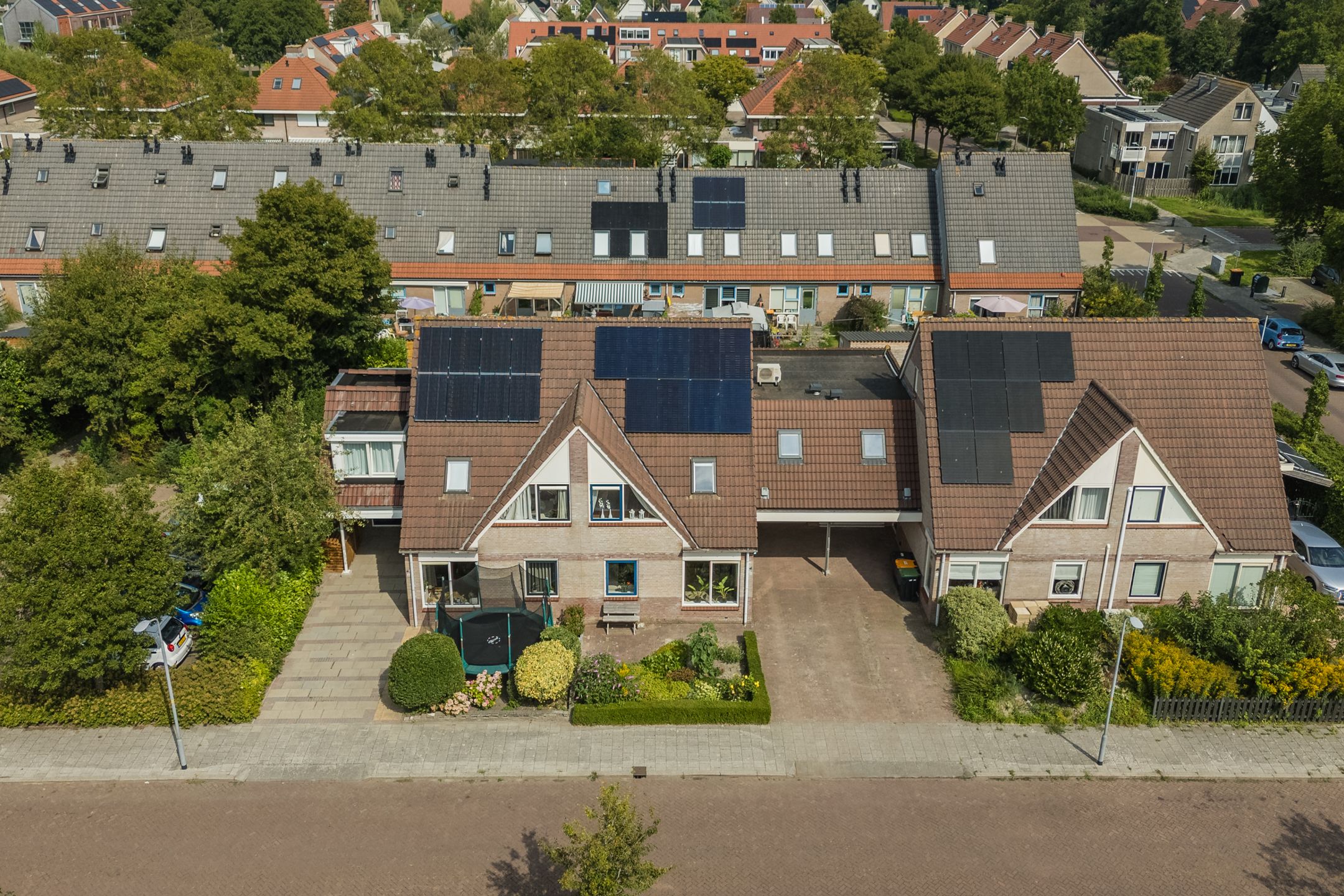 Foto 3 van Lisdodde 6