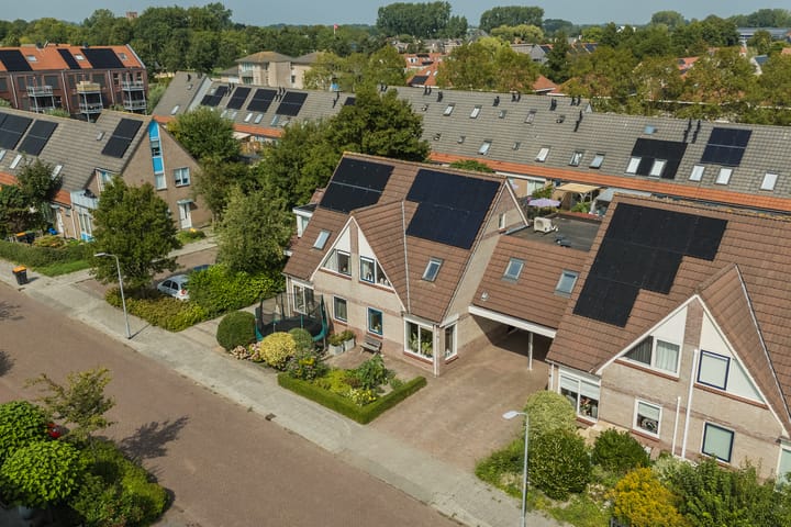 Foto 4 van Lisdodde 6