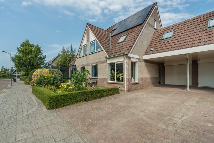 Foto 5 van Lisdodde 6