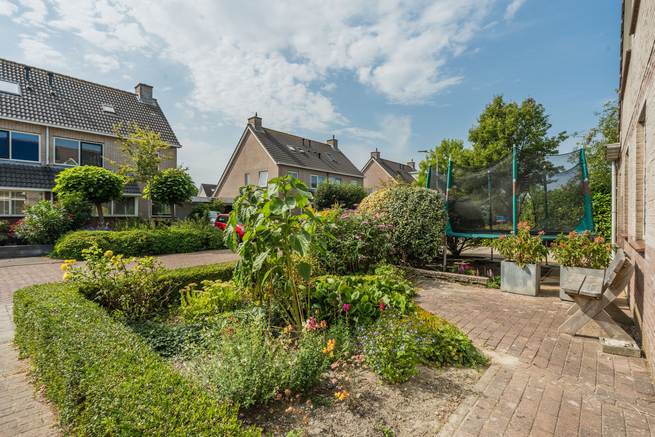 Foto 6 van Lisdodde 6