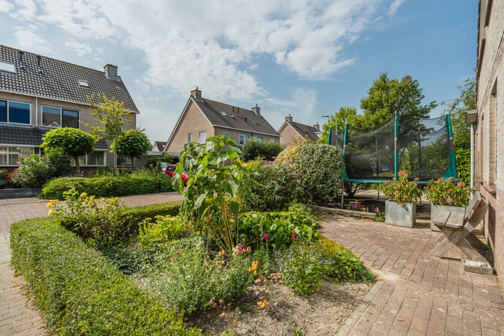 Foto 6 van Lisdodde 6