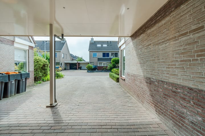 Foto 7 van Lisdodde 6