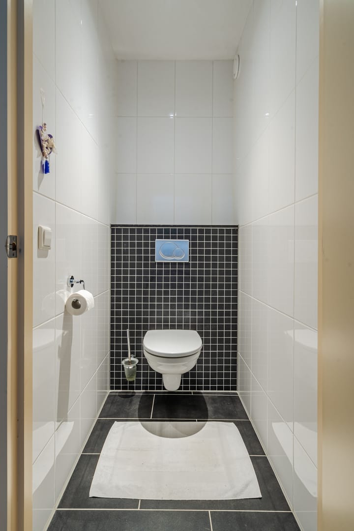 Foto 37 van Lisdodde 6