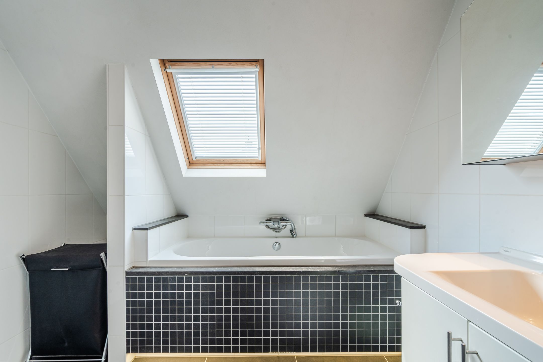 Foto 39 van Lisdodde 6