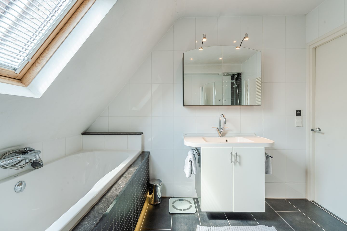 Foto 40 van Lisdodde 6