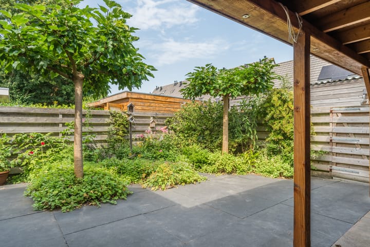 Foto 49 van Lisdodde 6